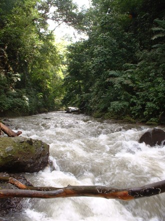 river photo